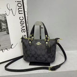 Mini coach bag